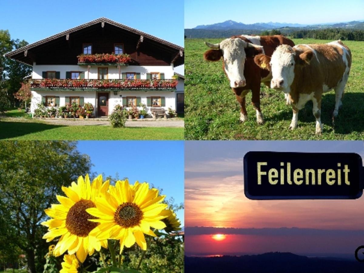Fembacherhof Siegsdorf Extérieur photo