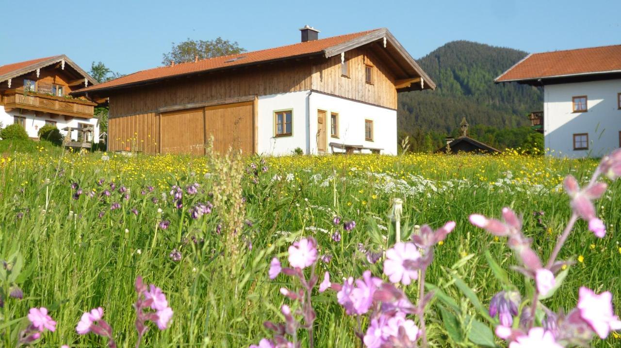 Fembacherhof Siegsdorf Extérieur photo